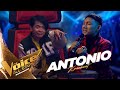 Antonio - Perbedaan | Knockout Round | The Voice All Stars Indonesia