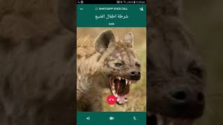 شرطة الأطفال الضبع screenshot 5