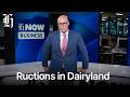 Ructions in Dairyland: Milk giants switch bosses