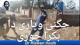 Jugni Wapari Da Bakra Chorri | Jugni Acting Airport Funny Video | Full Funny Video 2019 By Daidh Tv