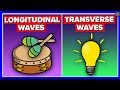 Waves Unraveled: Transverse and Longitudinal Dynamics