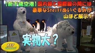 新千歳空港】シュタイフのぬいぐるみが大量！ - YouTube