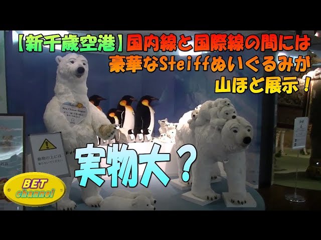新千歳空港】シュタイフのぬいぐるみが大量！ - YouTube