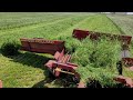 Farmer Talks ~ Rye vs Ryegrass