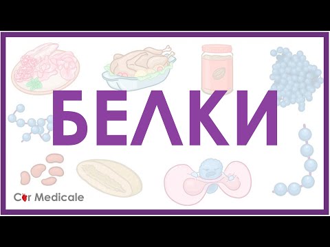 Белки - виды аминокислот, суточная потребность