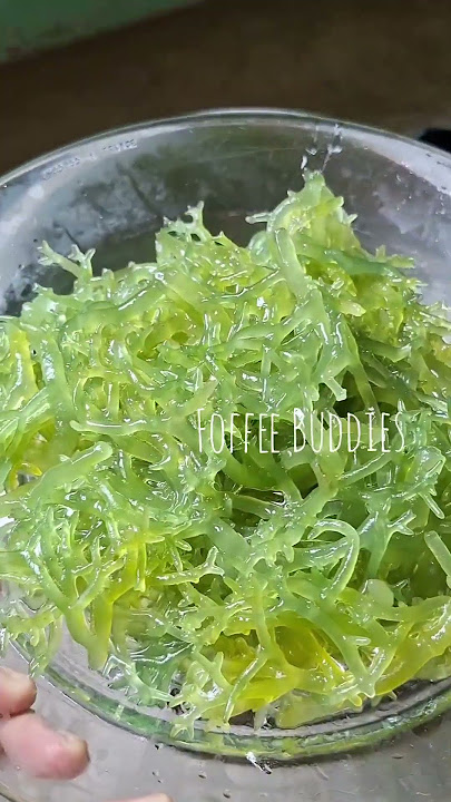 Guso Seaweed ✨️ #fyp #shorts #food #foodie #highlights #seaweed #seaweedsalad #foffeebuddies
