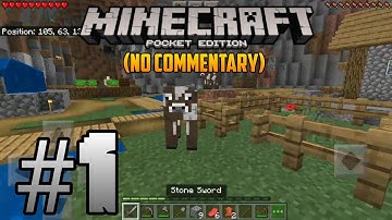 Minecraft Pocket Edition 1.16   Let