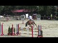 Greenfield Horses- gelding 5y.o. by Nabab de Rewe/ Concorde, Samuel Matejka
