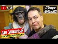 Оренбург и Новости Сегодня | Дан Запашный и Шимпанзе Боня - Вопрос Ответ | Прямой эфир 15.01.2022