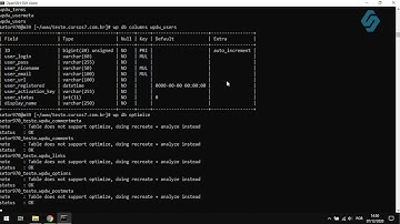 41010   Curso WP CLI   Banco de Dados Parte 1