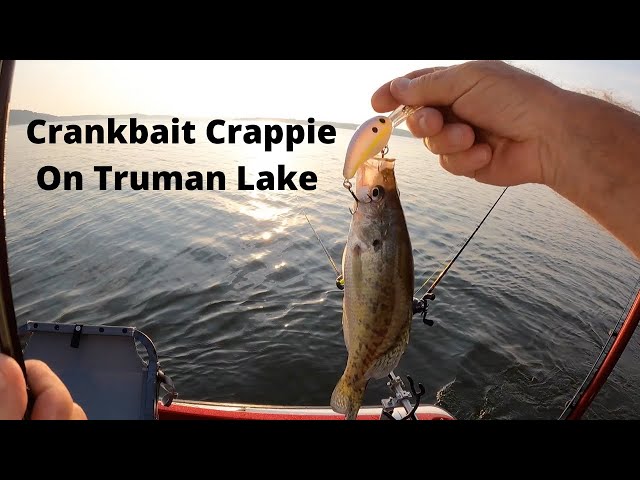 Crankbait Crappie On Truman Lake - June 19, 2021 (#33) 