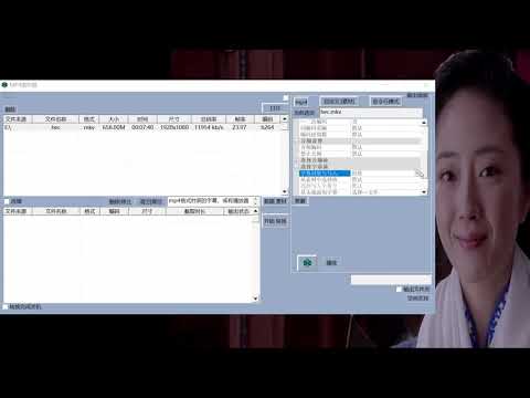 视频转换必备！FFmpeg图形界面 MP4图形器，封装转换字幕功能