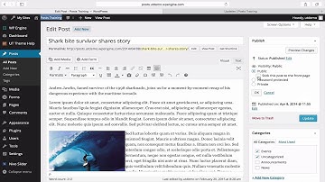 WordPress Posts Training: 6 - Sticky posts
