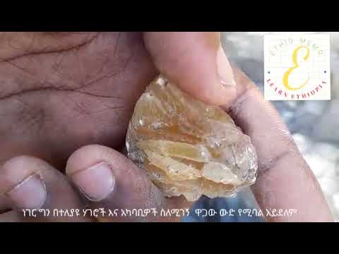 ቪዲዮ: ካልሳይት የሚደብቁት እንስሳት የትኞቹ ናቸው?