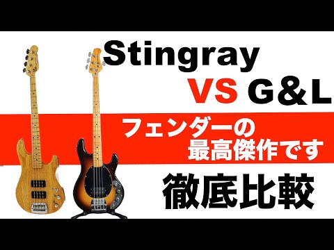 ベース初心者も知っておくべき！Musicman stingrayとG&Lを比較して弾いてみた