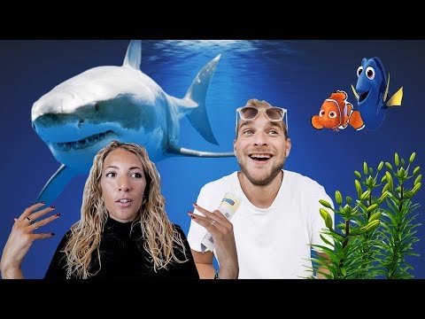 فيديو: Lisbon Oceanarium: الدليل الكامل