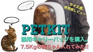 【PETKIT  BREEZY】猫用キャリーバッグに7.5Kgのメインクーンが入ってみた。【ベンガル メインクーン】