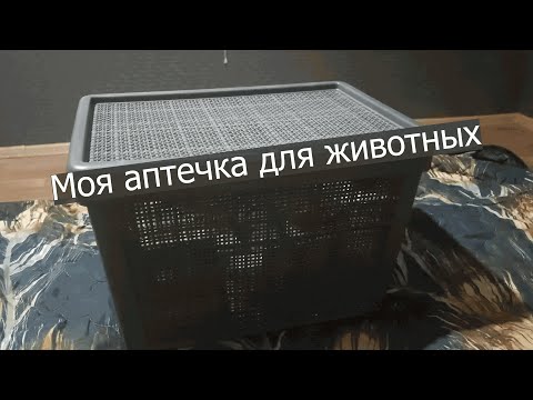 Моя ветеринарная аптечка для кошек и соба: что в ней должно быть
