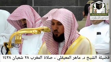 ((وجوه يومئذ ناضرة إلى ربها ناظرة )) تلاوة رائعة من سورة القيامة