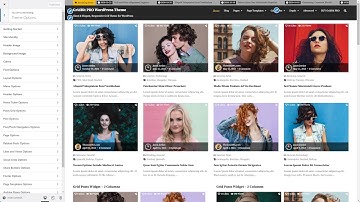 Customizer Theme Options - GridBit PRO WordPress Theme