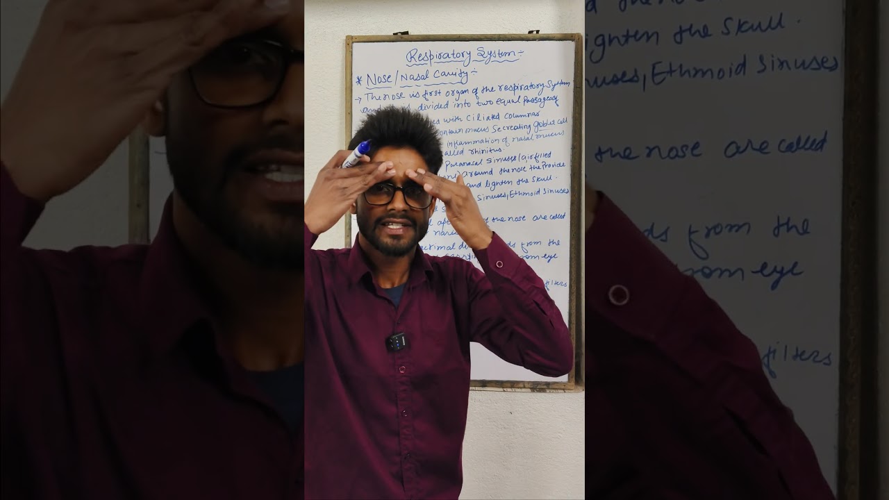 Respiratory system 🫁 Concepts & points of Nose &Nasal cavity 🫁