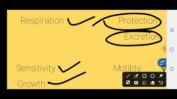 Grade 11 Biology unit 2 part 1 Animals vertebrates and invertebrates