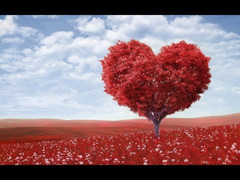 Deep Love Quotes | You Were My First My Last | Magical Words