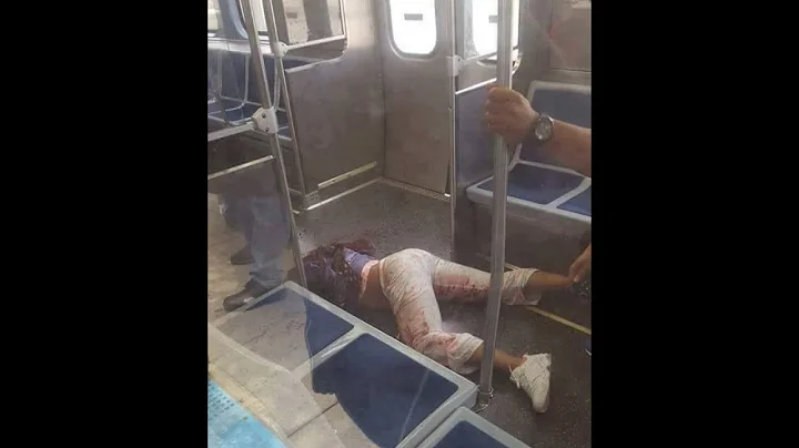Jessica Hampton Killed on the CTA Red Line (w/link...
