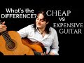 CHEAP vs EXPENSIVE GUITAR. WHAT'S THE DIFFERENCE?