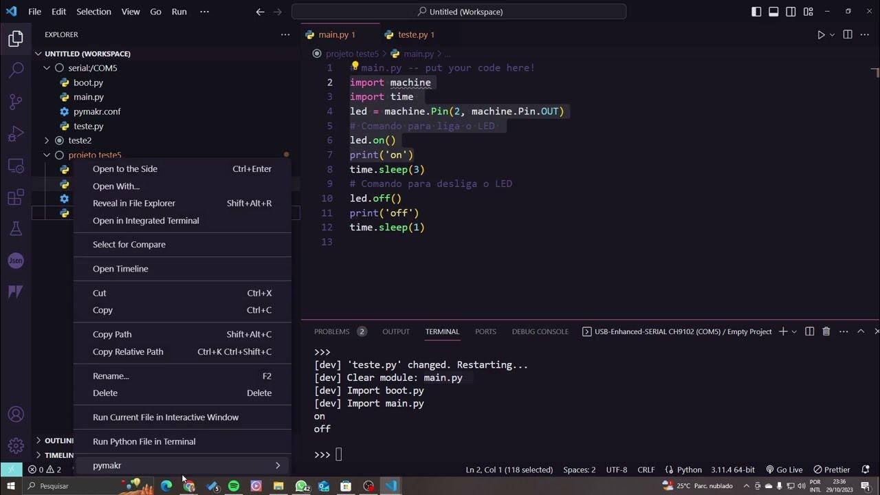 Usando MicroPython no Visual Studio Code com a extensão Pymakr 2.22 ... image.