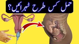 حمل کس طرح ٹہرائیں؟ | How to get pregnant