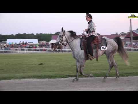 2016 Ava, Missouri Fox Trotter Spring Show Youth Champion 12 - 17 years old