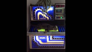 Swiss Cat and Jukebox Rock-Ola Electric light Orchestra