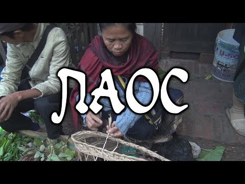 Видео: ዦ 66 ዣ Что едят лаосцы. Ужасы лаосского рынка
