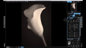 New Local Adjustments – ON1 Photo RAW