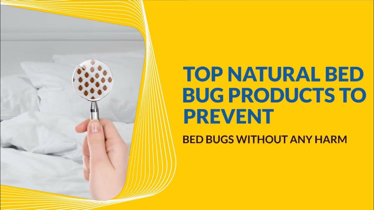 natural-bed-bug-treatment-get-rid-of-bed-bugs-natural-bed-bug-spray