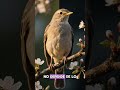 la historia del pajaro que creia en Dios #dios #biblia #fe #shortvideo #shorts