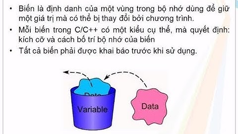 Bài 4 -  Các Loại Biến Trong Lập Trình C/C++