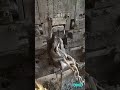 Incredible machinery at work #memes #factoryworker #machineoperator