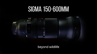 Sigma 150-600mm: Beyond wildlife