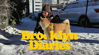 brooklyn diaries | finalmente nevou em nova york, rotina em casa, cozinhando comigo