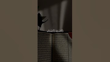 إن المسلمين والمسلمات والمؤمنين والمؤمنات #قران #اجزوني_ابراهيمي#quran #قران_كريم#تلاوة_خاشعة #quran
