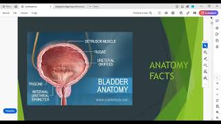 urodynamics and biophysics revision for mrcog part one