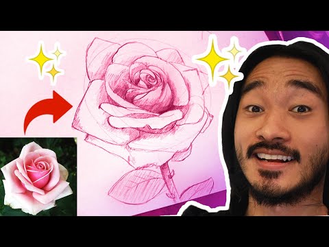 Vídeo: Como Desenhar Uma Rosa Em Etapas