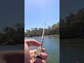 Double Hookup! | Jabiru Island #fishing