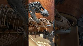 What is a MUSEUM🏛 | Types of Museums | Educational videos for kids #shorts #kidsshorts