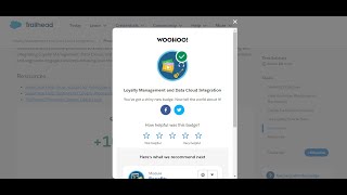 Process Transaction Journals For Promotions In Loyalty Management And Data Cloud Integration
