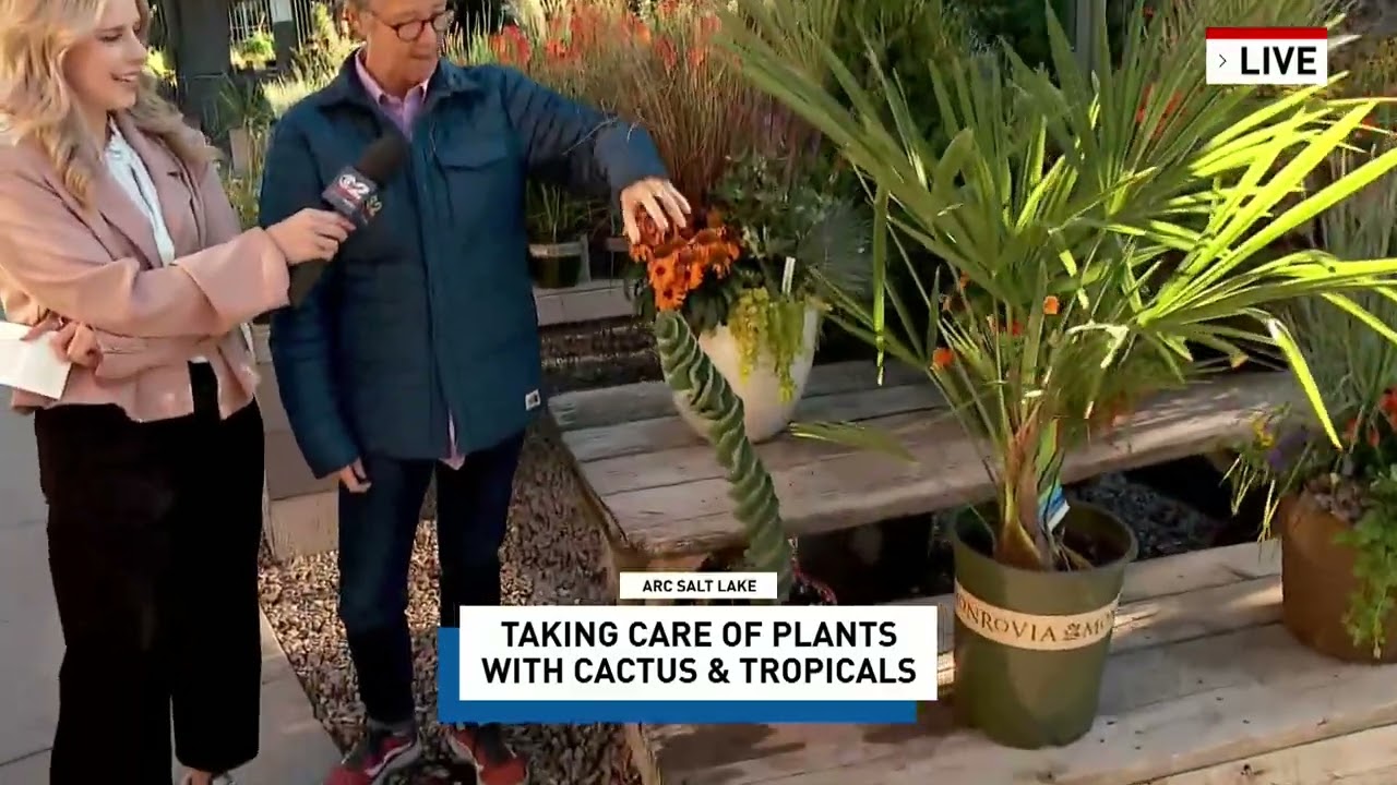 ARC: Taking care of plants with Cactus & Tropicals