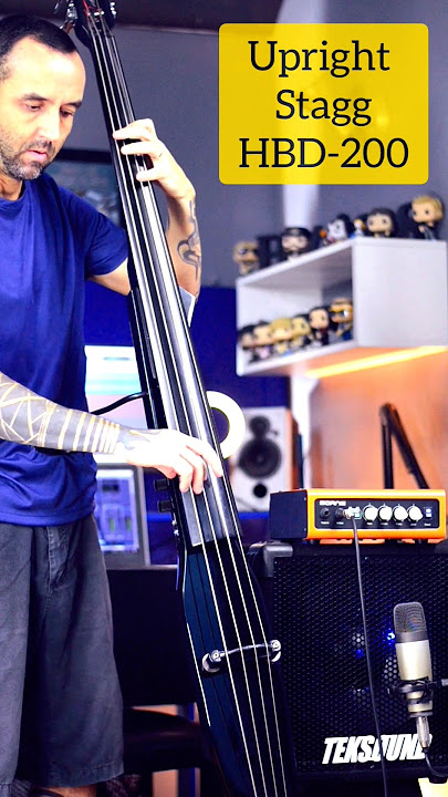Stagg Upright Bass HDB-200 #2   Cabeçote Borne Nano Pro  150   Caixa Teksound 1x12