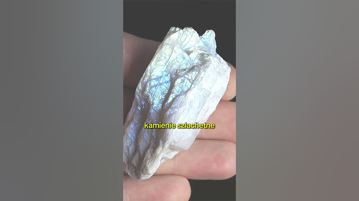 Jak Brytyjczycy ukradli 45 bilionów dolarów z Indii